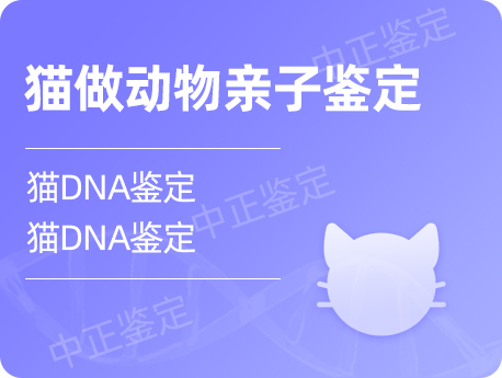 南昌猫做动物亲子鉴定